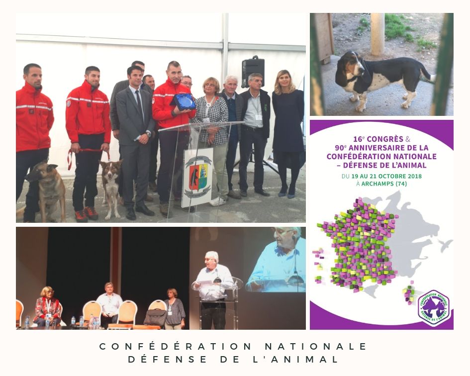 CONFÉDÉRATION NATIONALEDÉFENSE DE L'ANIMAL