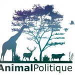 Animalpolitiquelogo