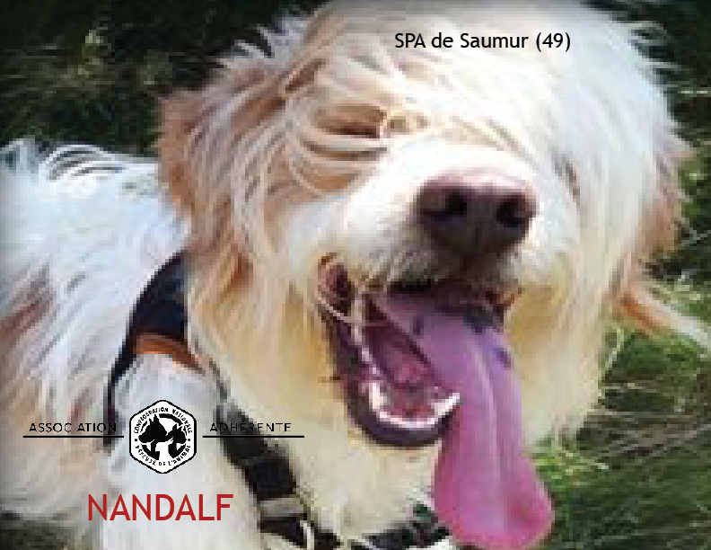 Nandalf