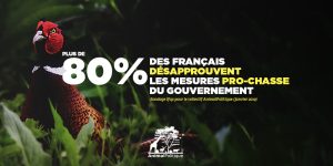 Plus de 80 % des Français désapprouvent les mesures pro-chasse du gouvernement
