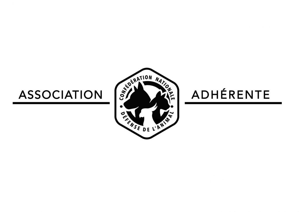 association adhérente 2
