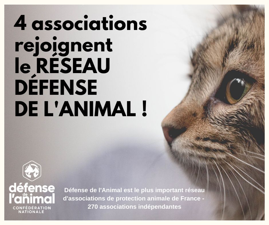 Nouvelles associations RESEAU DEFENSE DE L'ANIMAL(2)