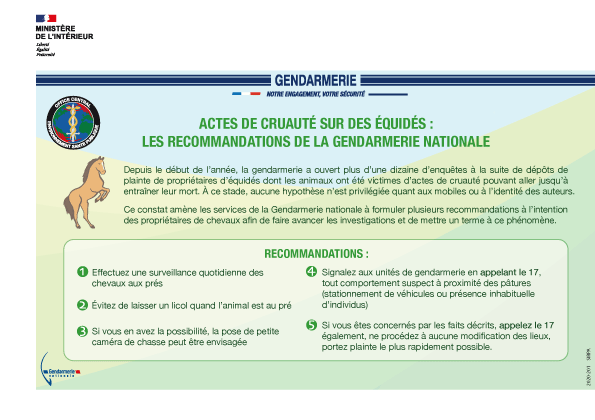 TAFE-infographie-chevaux-mutiles