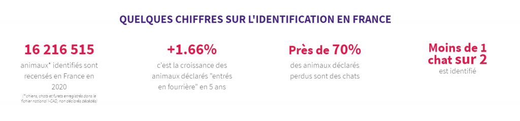 Les chiffres 2020 de l'identification en France