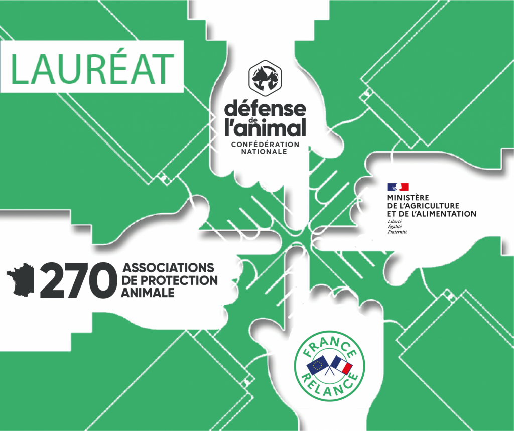 Le ministère de l'agriculture et de l'alimentation a nommée Défense de l'Animale lauréate du plan France Relance !