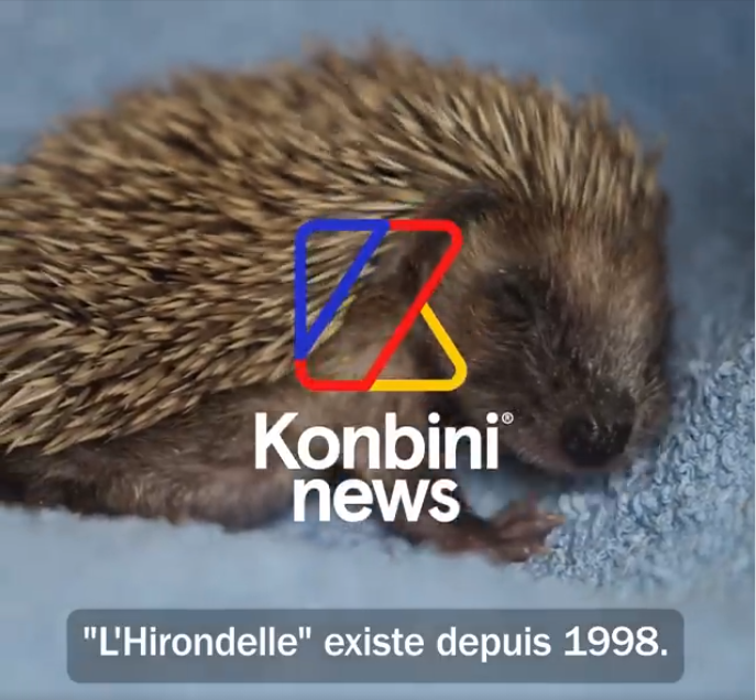 Reportage réalisé par Konbini, sur le centre de soins à la faune sauvage de l'Hirondelle, membre de Défense de l'Animal.