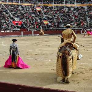 Le matador attend de pouvoir entrer en scène afin de mettre à mort le taureau, sous les applaudissements du public ...