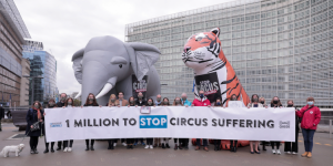 StopCircusSuffering est une initiative citoyenne a l'échelle Européenne contre les animaux sauvages dans les cirques. 