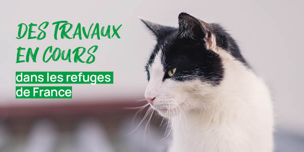 Grâce à France Relance, de nombreuses associations membres de Défense de l'Animal ont pu réaliser des travaux pour leur refuge !