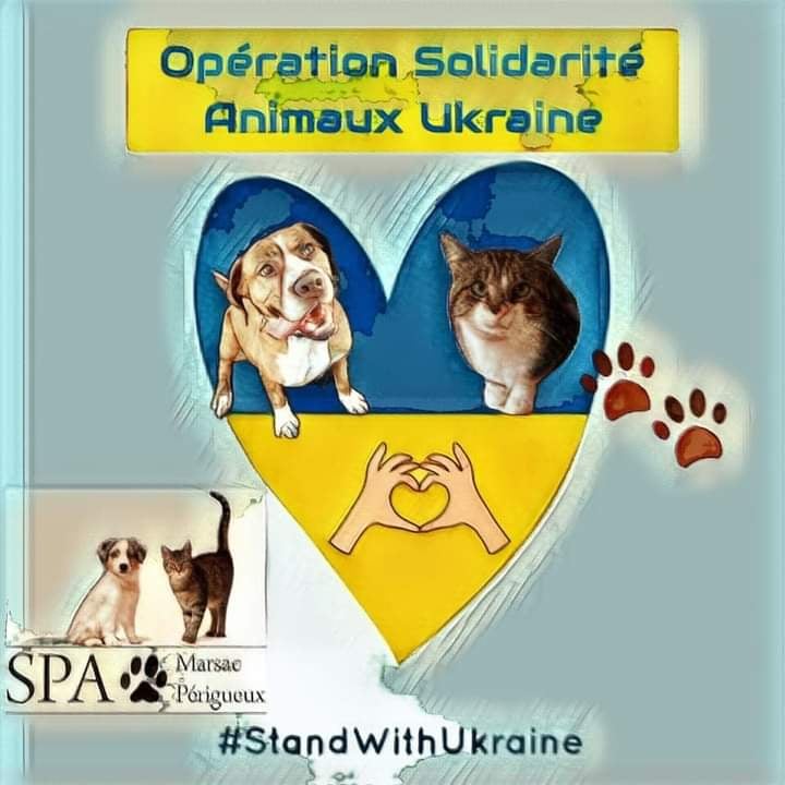 sos animaux Ukraine