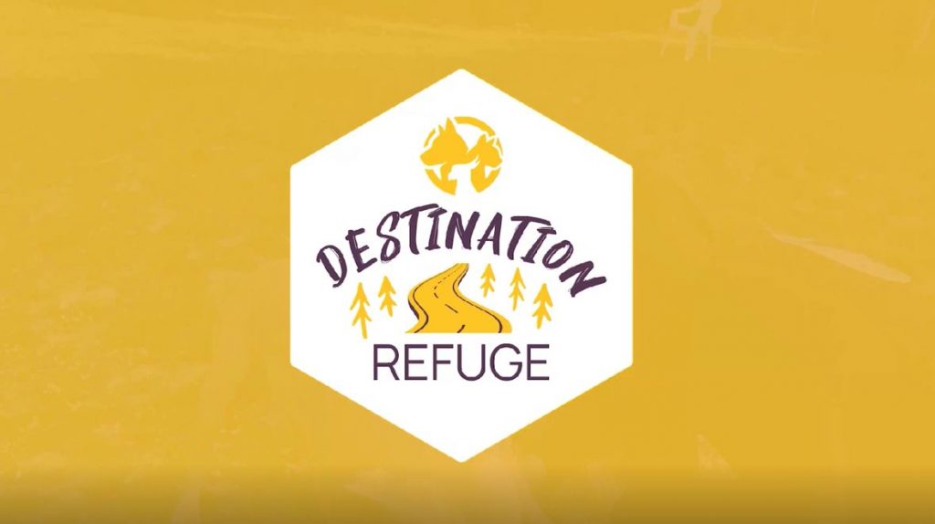 Défense de l'Animal lance sa web série : Destination Refuges.